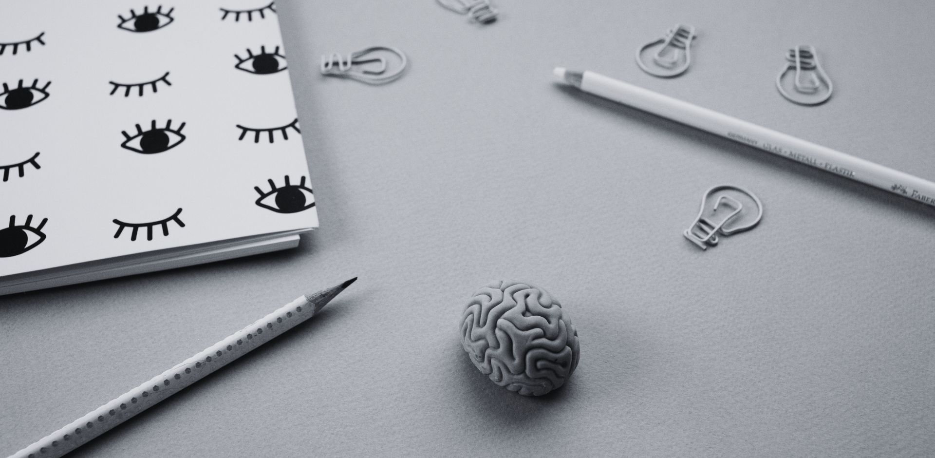 sol in action ideas and action christchurch