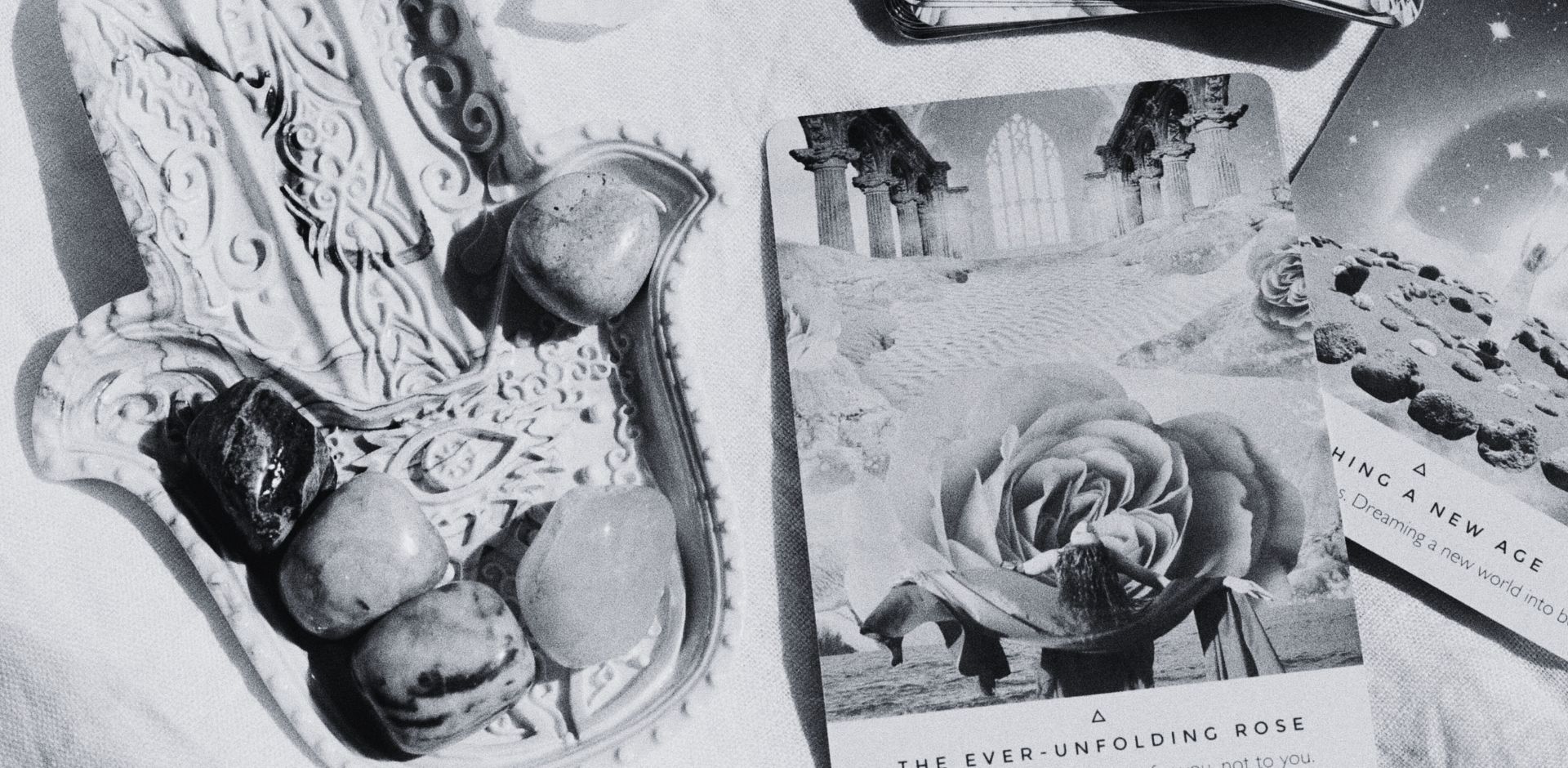 sol in action ideas and action christchurch 2