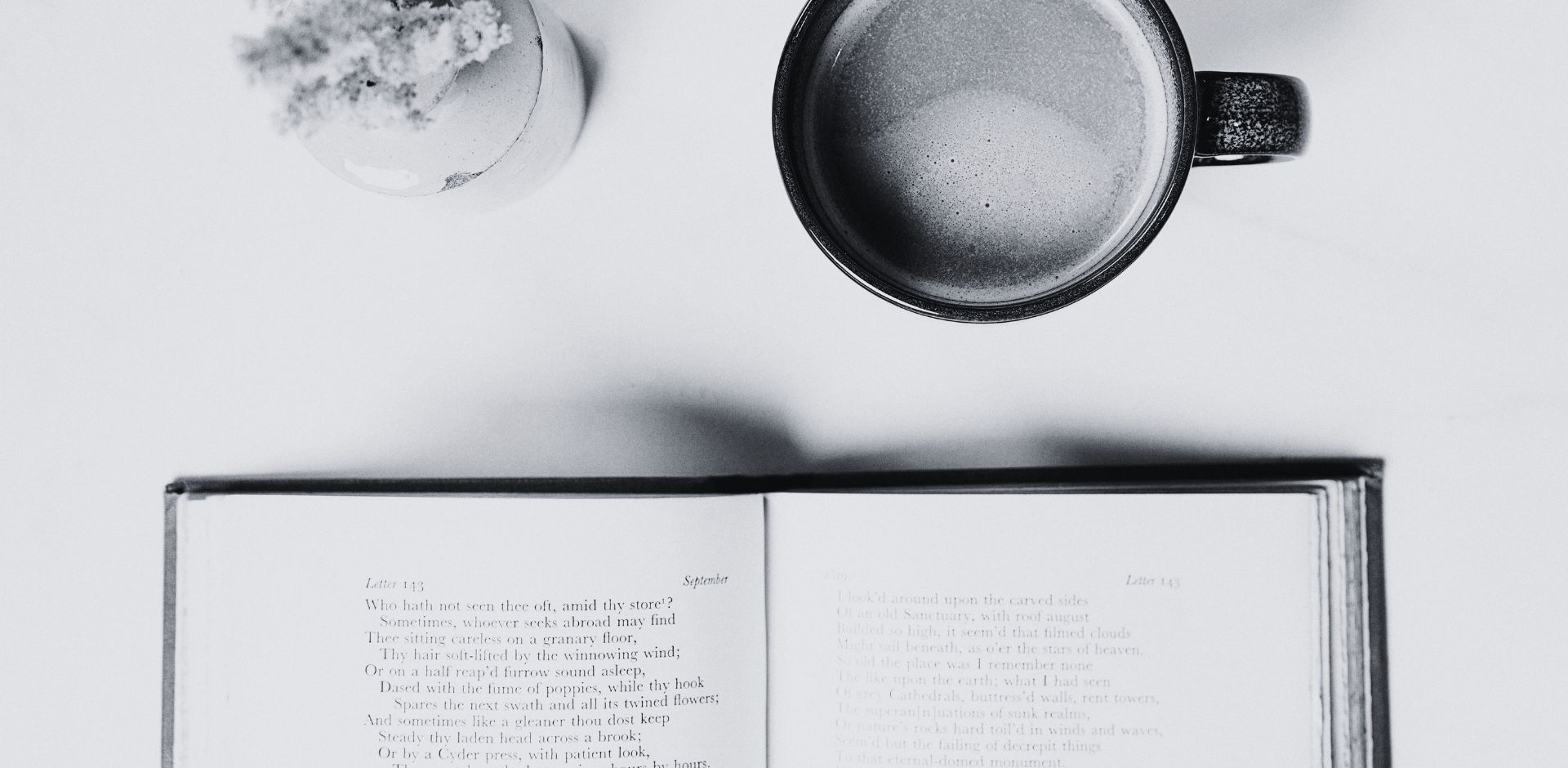 sol in action ideas and action christchurch 3